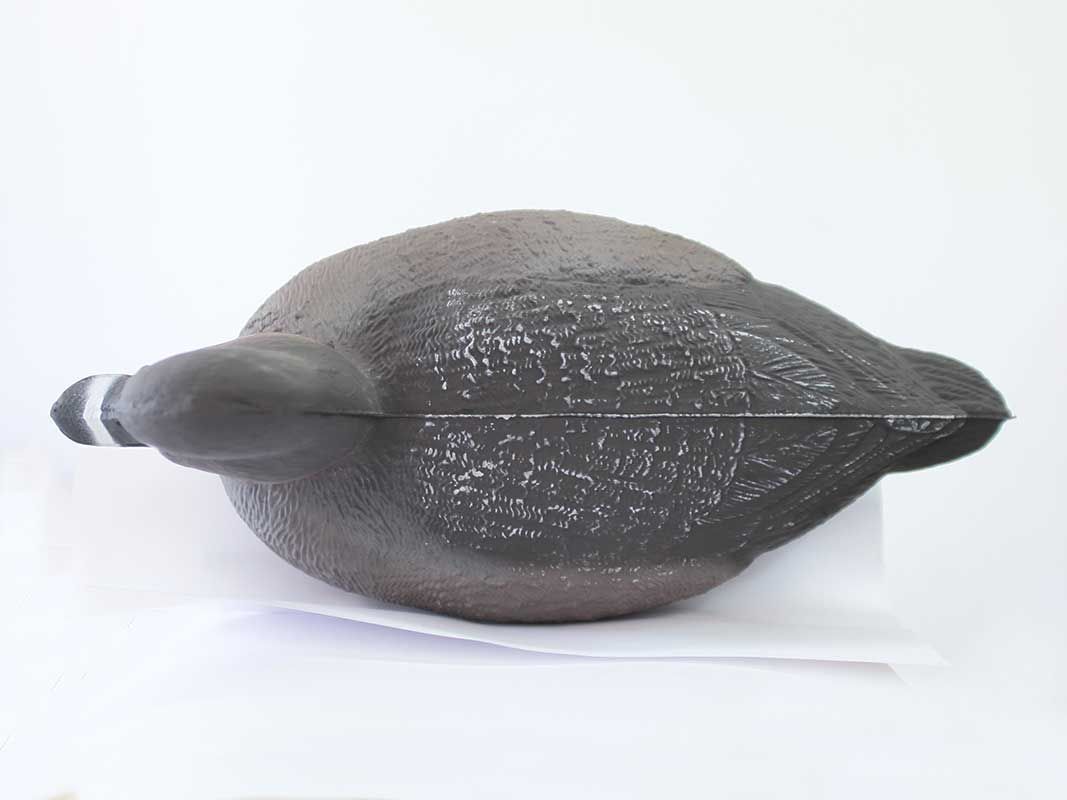 Чучело "Красноголовый нырок утка"