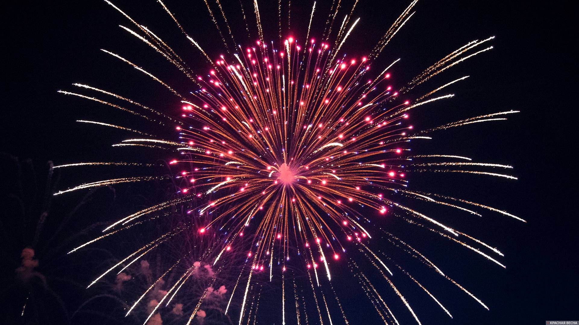 Салют "СССР" (8/1)